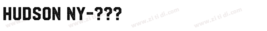 Hudson NY字体转换